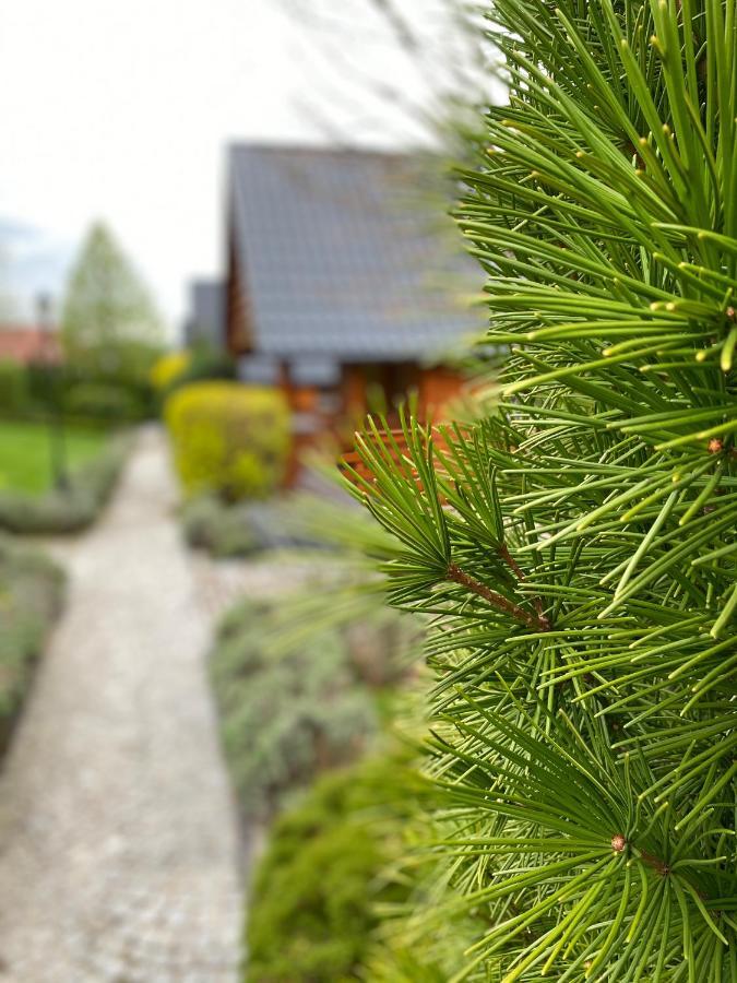 Domki U Basi Kudowa-Zdrój Eksteriør bilde